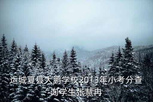 運(yùn)城夏縣大鵬學(xué)校2013年小考分查詢學(xué)生張慧冉