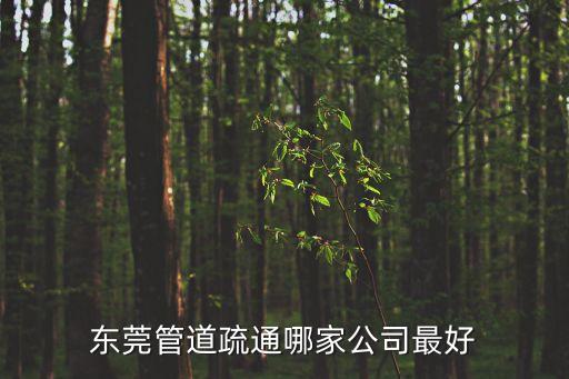 東莞市潔鑫清潔服務公司，找做凈化車間凈化工程的公司在東莞的