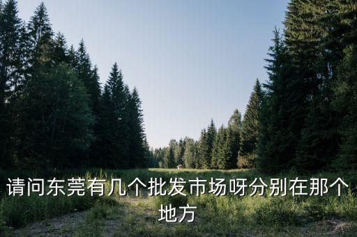 請(qǐng)問(wèn)東莞有幾個(gè)批發(fā)市場(chǎng)呀分別在那個(gè)地方
