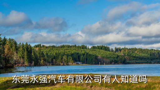 東莞永強汽車有限公司有人知道嗎
