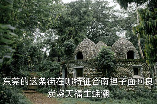東莞的這條街在哪特征合南擔(dān)子面阿良炭燒天福生蠔潮
