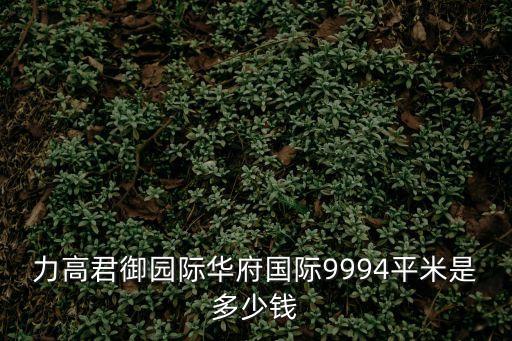 力高君御園際華府國際9994平米是多少錢
