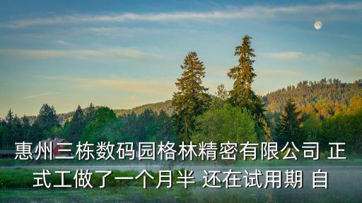東莞惠州格林電子，惠州三棟數碼園格林精密有限公司 正式工做了一個月半 還在試用期 自