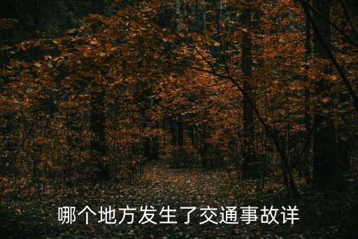 哪個地方發生了交通事故詳