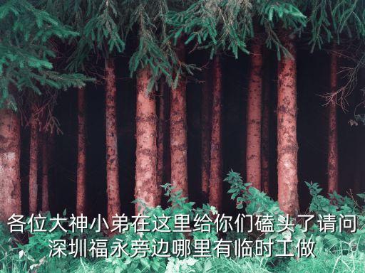 各位大神小弟在這里給你們磕頭了請問深圳福永旁邊哪里有臨時工做