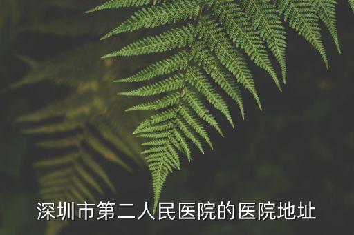 深圳二院照片，深圳市第二醫院