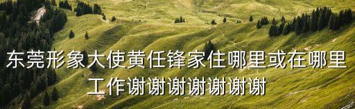東莞形象大使黃任鋒家住哪里或在哪里工作謝謝謝謝謝謝謝