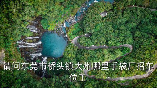 請問東莞市橋頭鎮大州哪里手袋廠招車位工