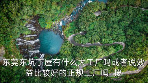 東莞東坑丁屋有什么大工廠嗎或者說效益比較好的正規工廠嗎  搜