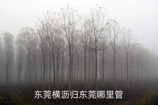 東莞橫瀝歸東莞哪里管