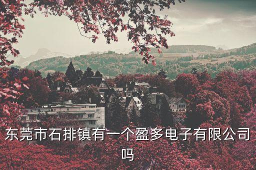 東莞市石排鎮(zhèn)有一個盈多電子有限公司嗎
