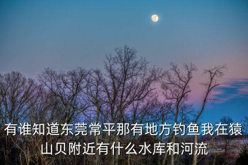 有誰知道東莞常平那有地方釣魚我在猿山貝附近有什么水庫和河流
