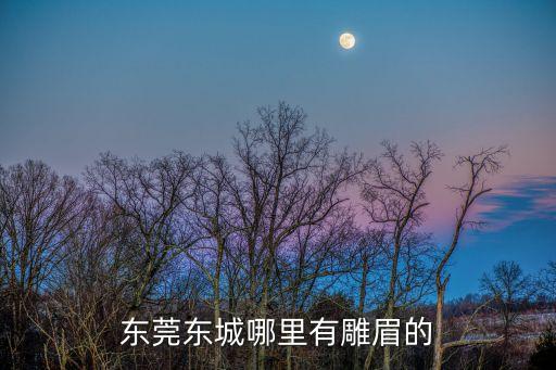 東莞東城哪里有雕眉的