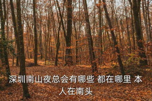 深圳南山夜總會有哪些 都在哪里 本人在南頭