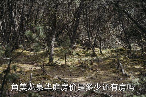 深圳福永福橋華庭房價，超便宜房子華庭現代城822 98地下汽車庫100萬裝修 急轉急急急