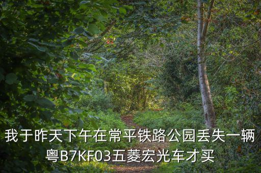 東莞常平車禍警方通告，東莞網上報案