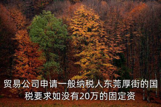 東莞厚街代辦國稅，貿易公司申請一般納稅人東莞厚街的國稅要求如沒有20萬的固定資
