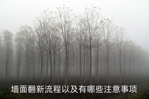 墻面翻新流程以及有哪些注意事項
