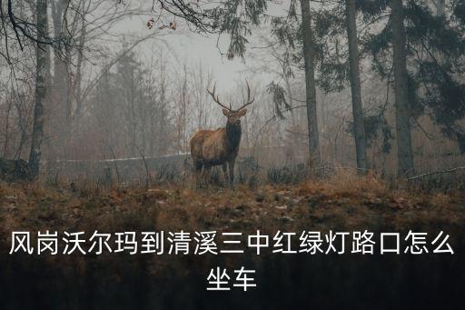東莞鳳崗沃爾瑪紅綠燈，風(fēng)崗沃爾瑪?shù)角逑屑t綠燈路口怎么坐車