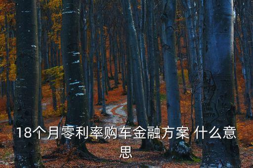 18個月零利率購車金融方案 什么意思
