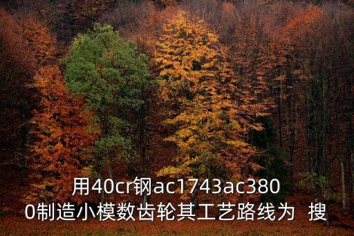 用40cr鋼ac1743ac3800制造小模數(shù)齒輪其工藝路線(xiàn)為  搜