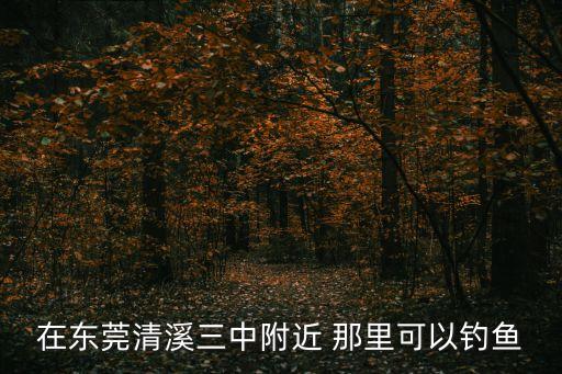 在東莞清溪三中附近 那里可以釣魚