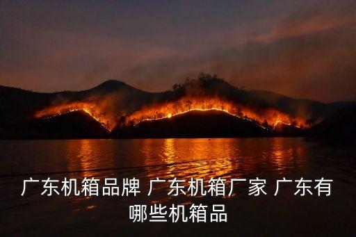 東莞博智激光機箱哪里做的，請問東莞有哪些電腦機箱的制造廠商