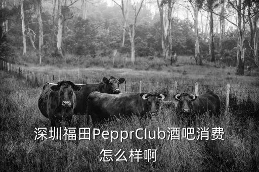 深圳福田PepprCIub酒吧消費怎么樣啊