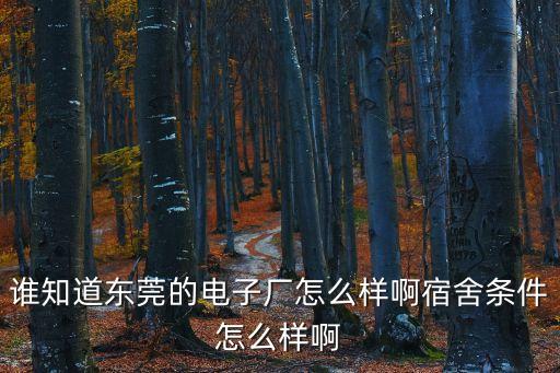 東莞華馳精密電子廠怎么樣，誰知道東莞的電子廠怎么樣啊宿舍條件怎么樣啊