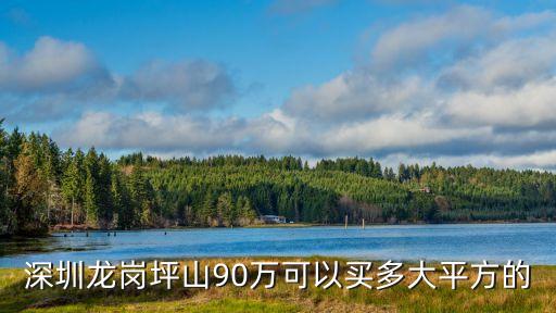 深圳坪山工業用地地價，深圳龍崗坪山90萬可以買多大平方的