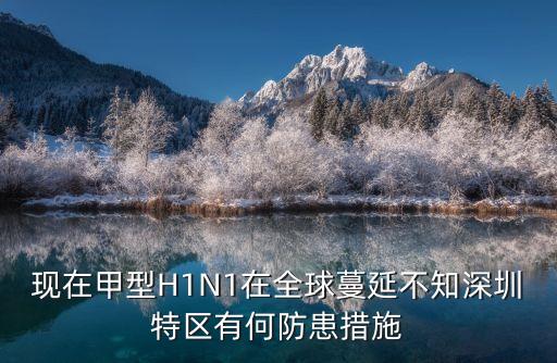 深圳近期重點(diǎn)領(lǐng)域安全防范，現(xiàn)在甲型H1N1在全球蔓延不知深圳特區(qū)有何防患措施