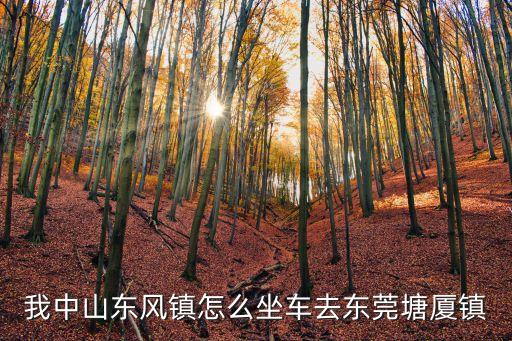 我中山東風(fēng)鎮(zhèn)怎么坐車去東莞塘廈鎮(zhèn)