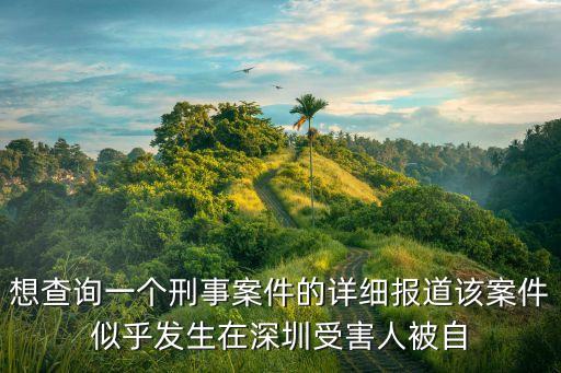 想查詢一個刑事案件的詳細(xì)報道該案件似乎發(fā)生在深圳受害人被自