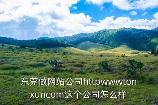 東莞做網站公司httpwwwtonxuncom這個公司怎么樣