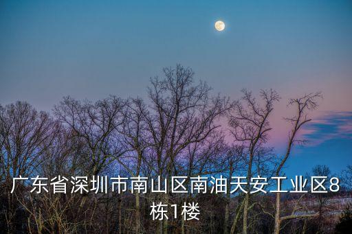 廣東省深圳市南山區(qū)南油天安工業(yè)區(qū)8棟1樓