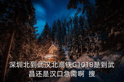 深圳北到武漢北高鐵G1018是到武昌還是漢口急需啊  搜