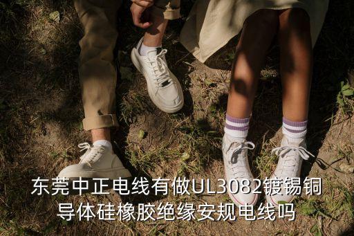 東莞中正精密，廣東省東莞市塘廈鎮蓮湖工業區68號嗎