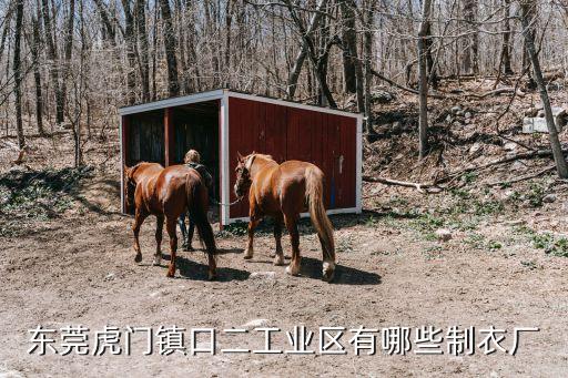 東莞市盛雅織造有限公司，東莞虎門鎮(zhèn)口二工業(yè)區(qū)有哪些制衣廠