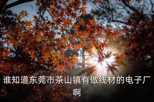 誰知道東莞市茶山鎮有做線材的電子廠啊