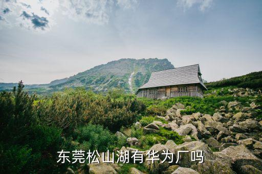 東莞松山湖華為基地對外開放嗎，東莞松山湖有華為廠嗎