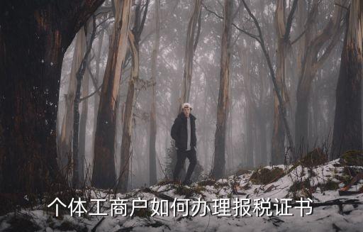 深圳個(gè)體戶報(bào)稅需要什么證件，個(gè)體工商戶如何辦理報(bào)稅證書