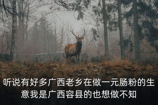聽說有好多廣西老鄉(xiāng)在做一元腸粉的生意我是廣西容縣的也想做不知