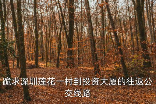 跪求深圳蓮花一村到投資大廈的往返公交線路