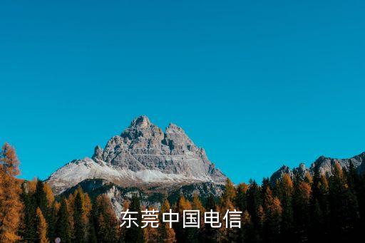 東莞中國電信