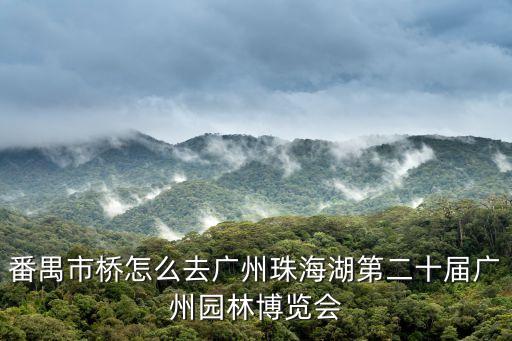深圳市第十九屆網協杯，禹王臺的櫻花還在開放嗎
