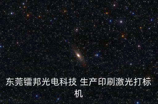 東莞便攜式打碼機廠家批發(fā)，東莞鐳邦光電科技 生產(chǎn)印刷激光打標(biāo)機