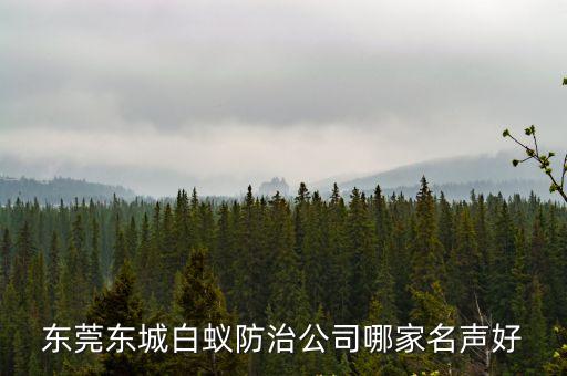 東莞東城白蟻防治公司哪家名聲好