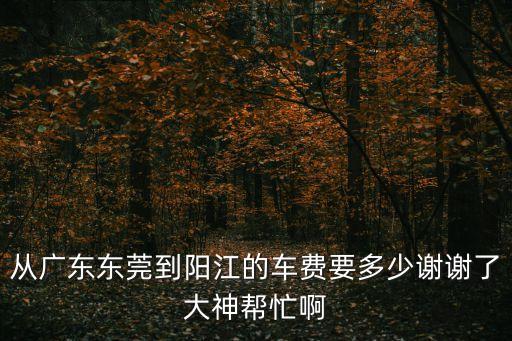 從廣東東莞到陽江的車費要多少謝謝了大神幫忙啊