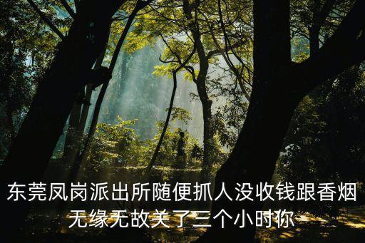 東莞警花抓捕現場視頻，東莞鳳崗派出所隨便抓人沒收錢跟香煙無緣無故關了三個小時你