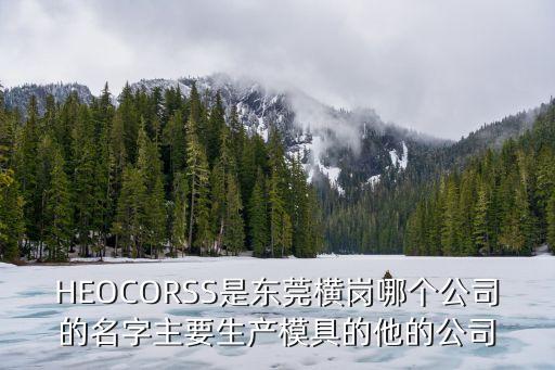 HEOCORSS是東莞橫崗哪個公司的名字主要生產模具的他的公司